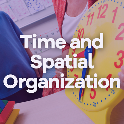Image Time and Spatial Organization